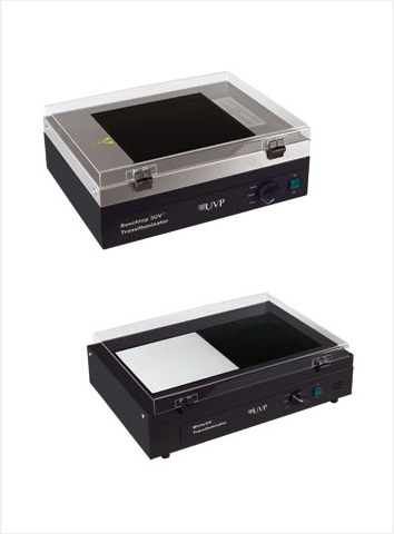 > </div>
<div class=